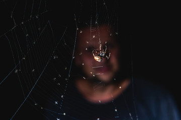 The spider sits in the web at night. Dark background big brown spider on the web. Araneus is a genus of common orb-weaving spiders. European garden spider. man face on background