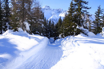 Fototapeta na wymiar The trail in the white snow