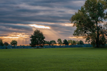 panoramic view of nature reserve in autumn
