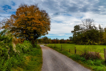 Feld- und Wanderweg im Herbst