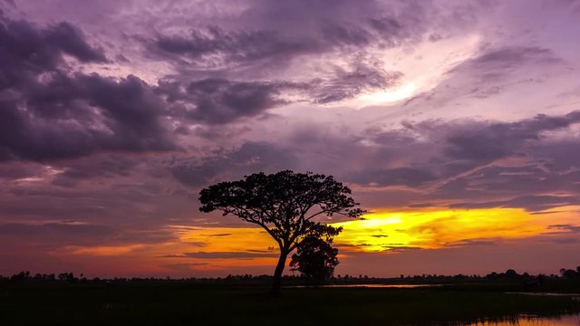 Time lapse Dramatic golden light sunset. Silhouetted trees against bonfire-red and sunflame-golden sky.