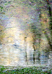 Ice on a puddle surface and autumn leaves under it, lit by the setting sun as an abstract background