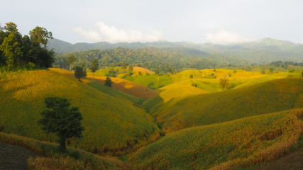 autumn landscape in mountains