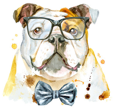 Watercolor portrait of bulldog with bow-tie and glasses