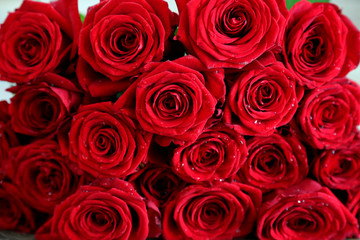 Luxurious bouquet of red roses. Beautiful flowers.