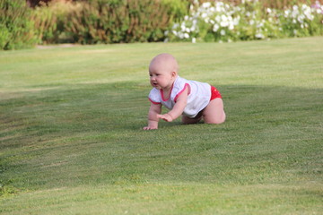 LITTLE GIRL CRAWLING ON THE GREEN GRASS