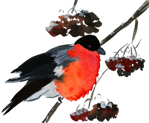 Winter bullfinch on spruce with snow at winter