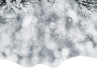 winter christmas background with snow and fir branches frame