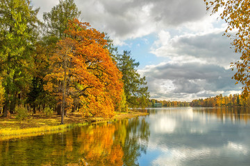 autumn landscape in the Gatchina park, public park in the Leningrad region, St. Petersburg, Russia