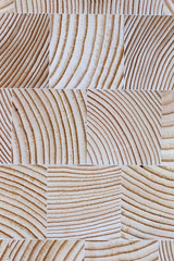 The cut wood with the texture and growth rings.