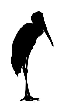 recommend clip art: Yellow billed stork