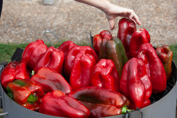 Asando pimientos rojos en parrilla