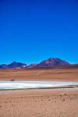 Laguna colorada en Bolivie