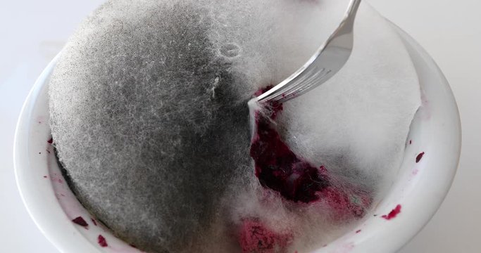 Moldy food. Old food with toxic mold or mould with plenty colored spores