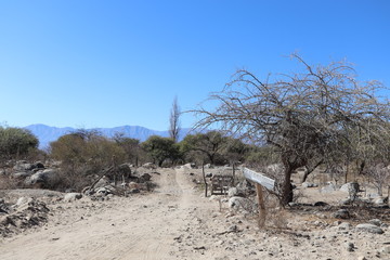 Desert road