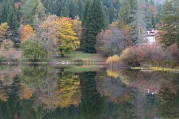 autumn in the wood Trentino, Cei lake, nature and colors