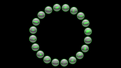 Green neon icons about the evolution of species. Animals icons vector. 