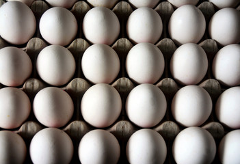 eggs arranged in a box