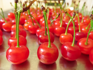 Beautiful juicy berries of cherry stand on a mirror surface with stalks up, close-up. Summer fruit background with blur effect, organic healthy food concept