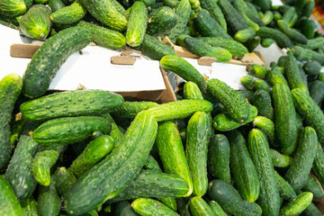 Delicious Freshly harvested cucumbers in paper boxes at farmer's market or grocery. Illustration for food recepies steps, agriculture topics