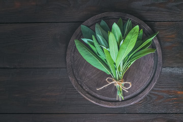 fresh medicinal sage close-up. bunch of fresh sage top view. medicinal sage leaves on a wooden background top view.  fragrant herbs.