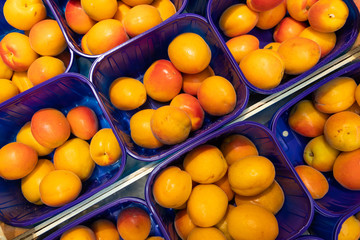 Yellow fresh delicious plum in blue plastic boxes at food market. May be used for agriculure background, top high angle view.