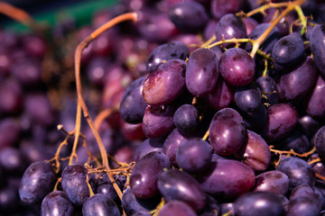 Black freshly-harvested grapes brunch for background, juicy berry close-up