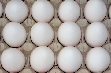 eggs arranged in a box