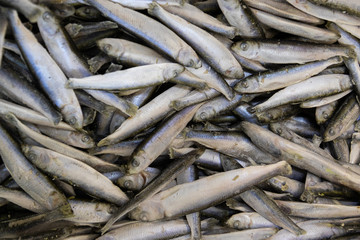 Fototapeta premium Restaurant or home cooking fish ingredient. Anchovy, sprat or capelin seafood background, elevated view.