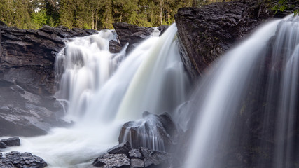 Obraz premium Waterfalls in the forest