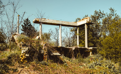the remnants of a building among the weeds