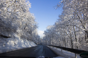 Winterlandschaft