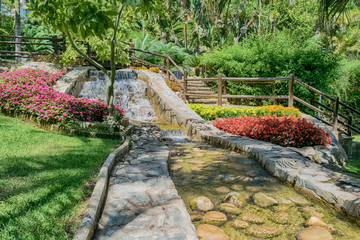 Vegetación en un jardín