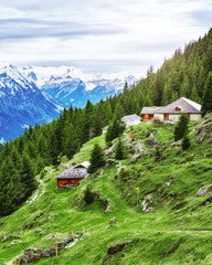 Classical Swiss rural landscape. Wooden mountain cabins in highlands over Grindelwald village in...