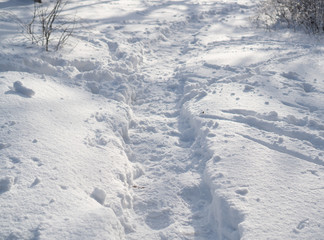 Foot steps on snow in evening winter