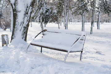 A view of the wooden snow-covered bench with a large layer of snow near snowy bushes and trees in winter park.