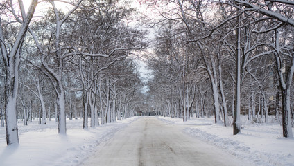 Winter landscape with empty winter road in deep snow surrounded by snow-covered trees