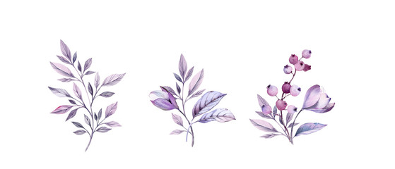 Fototapeta na wymiar Watercolor purple bouquets set. Hand-painted realistic botanical illustrations bundle. isolated on white flowers, leaves, berries for wedding stationery, card printing, banners