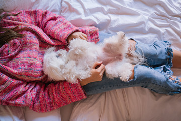young beautiful woman lying on bed with her Cute maltese dog besides. love for animals concept. top view