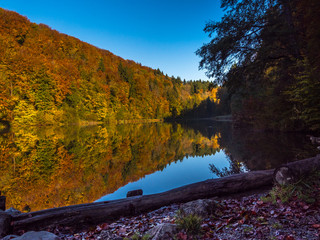 Waldsee im Herbst