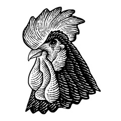 design of a domestic chicken head