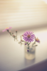 A small bouquet of delicate purple chrysanthemums, flowers on the windowsill