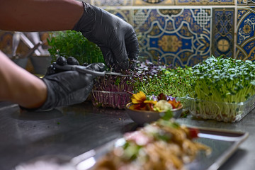 Chef cuts fresh greens for dishes in a restaurant.