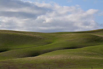 Fototapeta premium FARMLAND ABSTRACT