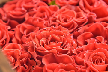 Red roses background. Bouquet beautiful red roses with selective focus in craft paper. Luxury bouquet made of amazing red roses. Valentines Bouquet of red roses. Present for Mother’s Day. 