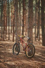 Fototapeta premium mountain bike in the forest