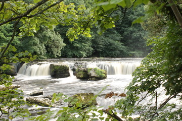 Obraz premium waterfall in forest aysgarth