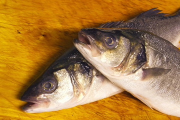 sea bass fish heads