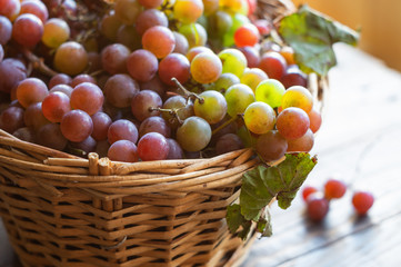 Harvest of grapes in a basket on the table