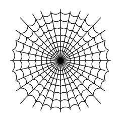 Obraz premium drawing of scary spider web on white background